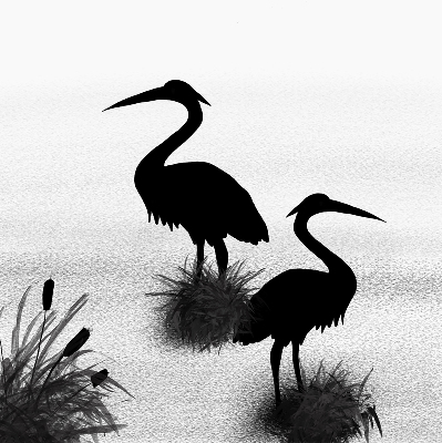 Binnenrolgordijn voor raam reigers