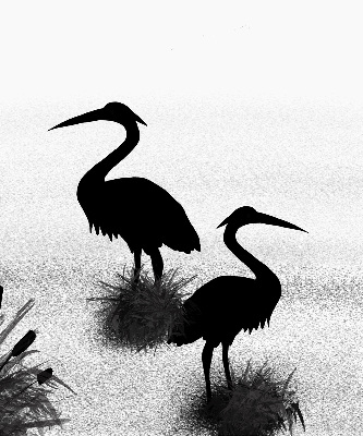 Binnenrolgordijn voor raam reigers
