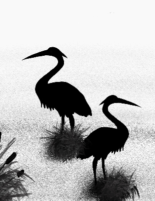 Binnenrolgordijn voor raam reigers