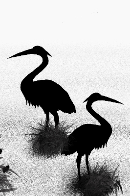 Binnenrolgordijn voor raam reigers