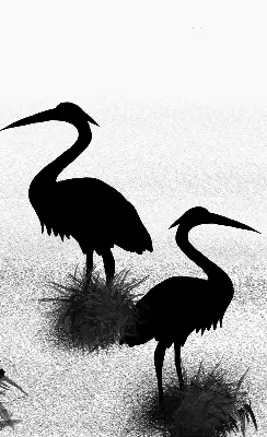 Binnenrolgordijn voor raam reigers