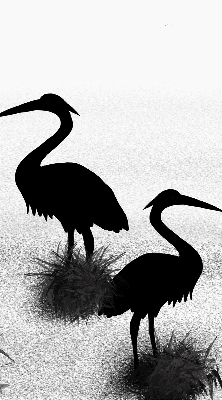 Binnenrolgordijn voor raam reigers