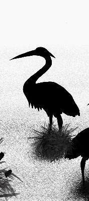 Binnenrolgordijn voor raam reigers