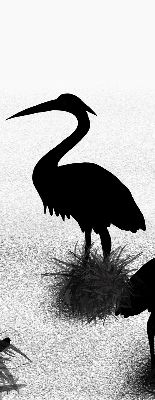 Binnenrolgordijn voor raam reigers