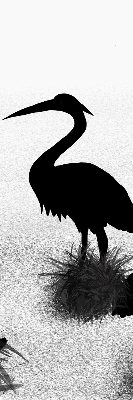 Binnenrolgordijn voor raam reigers