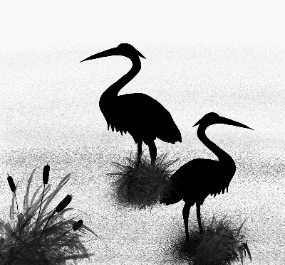 Binnenrolgordijn voor raam reigers