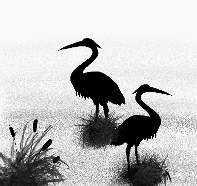 Binnenrolgordijn voor raam reigers