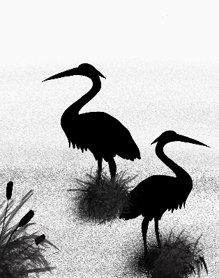 Binnenrolgordijn voor raam reigers