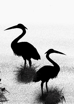 Binnenrolgordijn voor raam reigers
