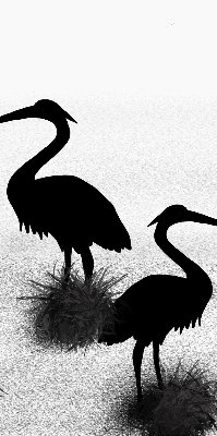 Binnenrolgordijn voor raam reigers