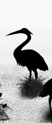 Binnenrolgordijn voor raam reigers