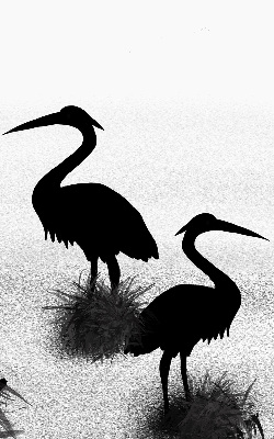Binnenrolgordijn voor raam reigers