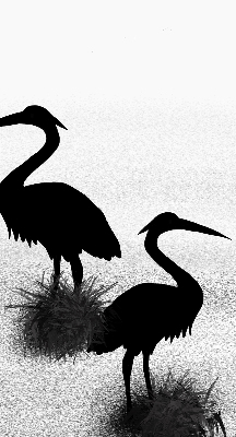 Binnenrolgordijn voor raam reigers