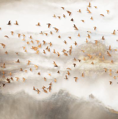 Stoffen rolgordijn met een zwerm vogels