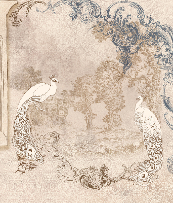 Binnenrolgordijn voor raam met vintage vogelprint
