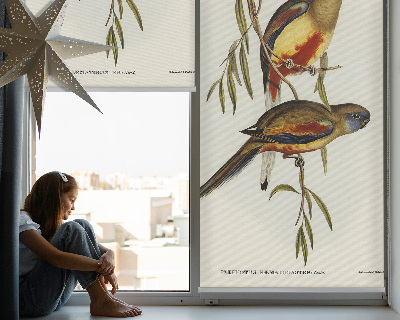 Rolgordijn voor raam met twee vogels op een tak