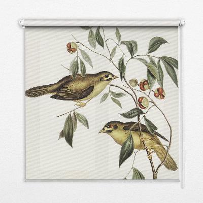 Rolgordijn voor raam met vogels in een boom