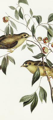 Rolgordijn voor raam met vogels in een boom