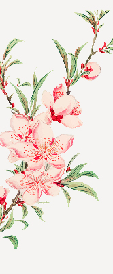 Binnenrolgordijn voor raam met bloemmotief in roze