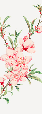 Binnenrolgordijn voor raam met bloemmotief in roze
