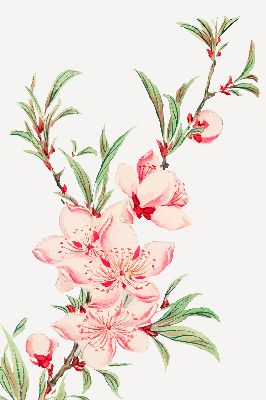 Binnenrolgordijn voor raam met bloemmotief in roze