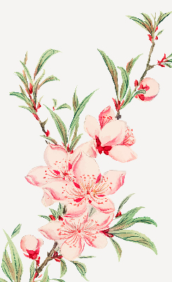 Binnenrolgordijn voor raam met bloemmotief in roze
