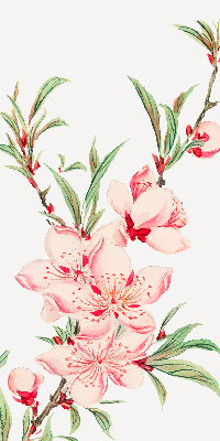 Binnenrolgordijn voor raam met bloemmotief in roze
