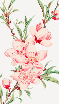 Binnenrolgordijn voor raam met bloemmotief in roze