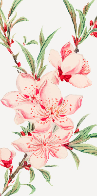 Binnenrolgordijn voor raam met bloemmotief in roze