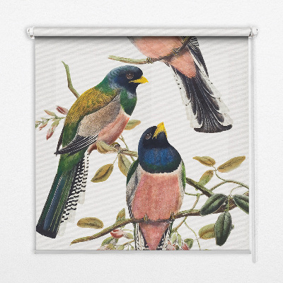 Stoffen rolgordijn met vogels op de takken