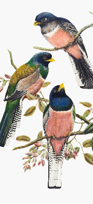 Stoffen rolgordijn met vogels op de takken