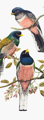 Stoffen rolgordijn met vogels op de takken