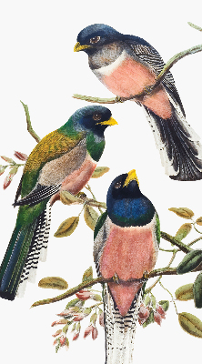 Stoffen rolgordijn met vogels op de takken
