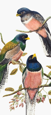 Stoffen rolgordijn met vogels op de takken