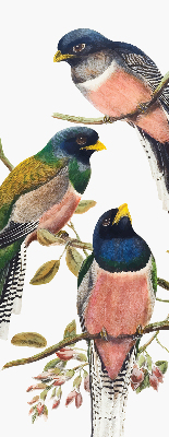 Stoffen rolgordijn met vogels op de takken