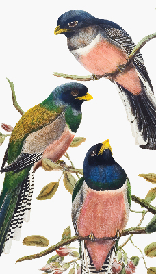 Stoffen rolgordijn met vogels op de takken