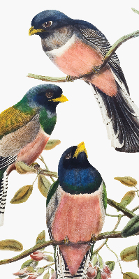 Stoffen rolgordijn met vogels op de takken