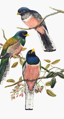 Stoffen rolgordijn met vogels op de takken