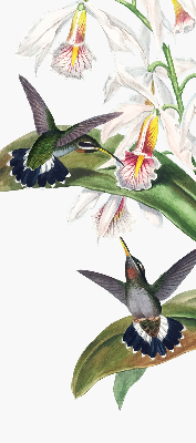 Rolgordijn voor raam met vogels op een bloem