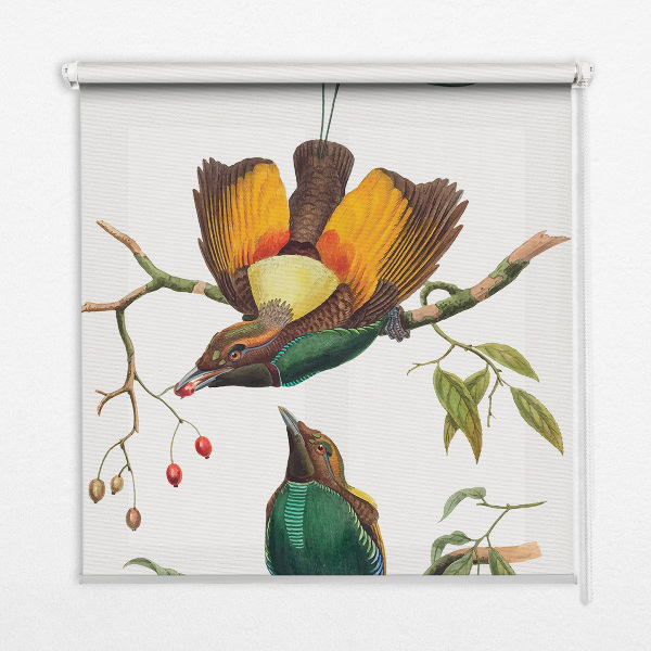 Binnengordijn met vogels op een tak