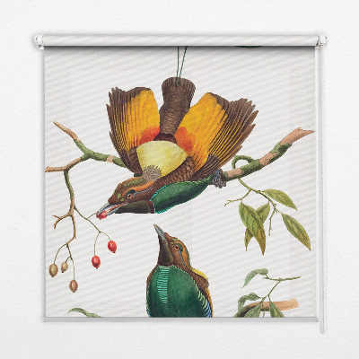 Binnengordijn met vogels op een tak