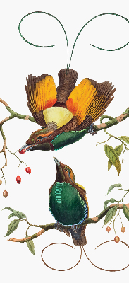 Binnengordijn met vogels op een tak