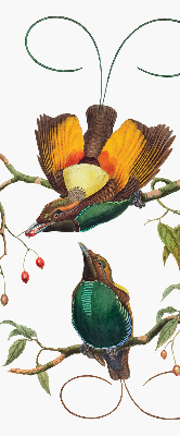 Binnengordijn met vogels op een tak