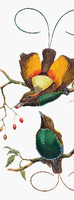Binnengordijn met vogels op een tak