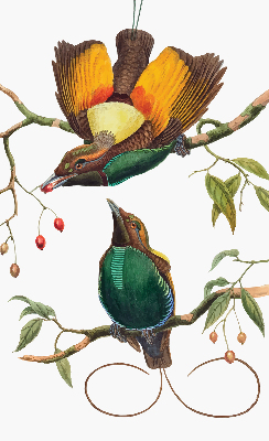 Binnengordijn met vogels op een tak