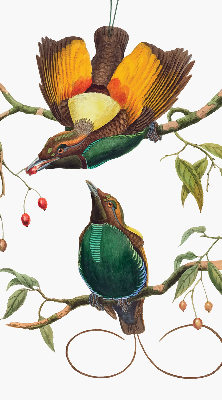 Binnengordijn met vogels op een tak