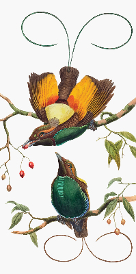 Binnengordijn met vogels op een tak