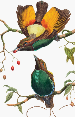 Binnengordijn met vogels op een tak