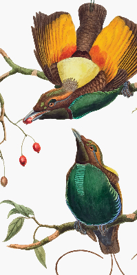 Binnengordijn met vogels op een tak