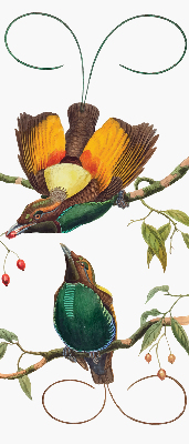 Binnengordijn met vogels op een tak